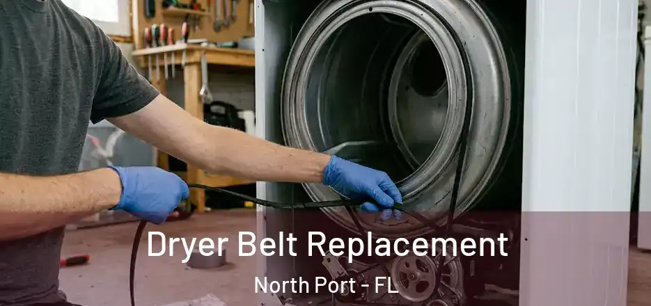  Dryer Belt Replacement North Port - FL