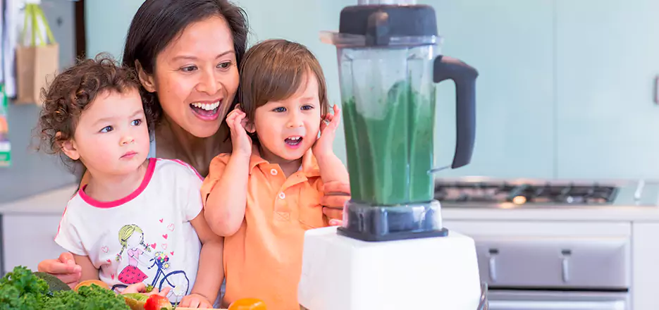 Juicer and Mixer Blender Repair in North Port 
