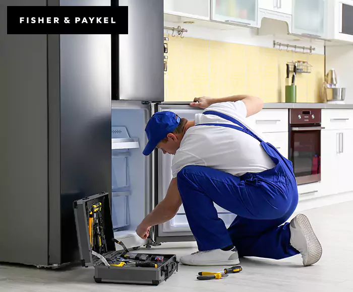 Top-Rated Fisher & Paykel Appliance Experts: Your Brand Specialist in North Port, FL